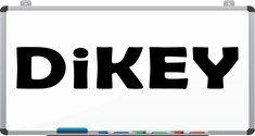 DİKEY (2024-2025)