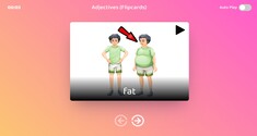 Adjectives (Flipcards)