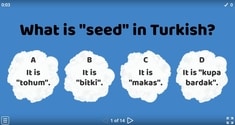 What Is It In Turkish? 2