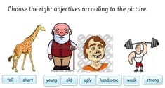 Adjectives 6