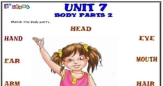 Body Parts 12