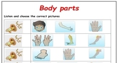 Body Parts 18