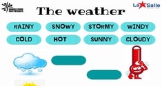Weather 7