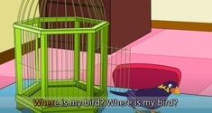 Where Is My Bird?