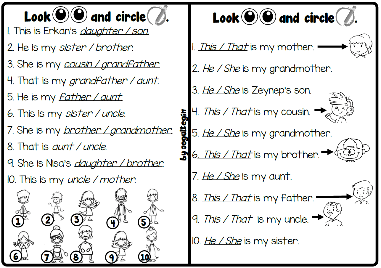 Look and Circle