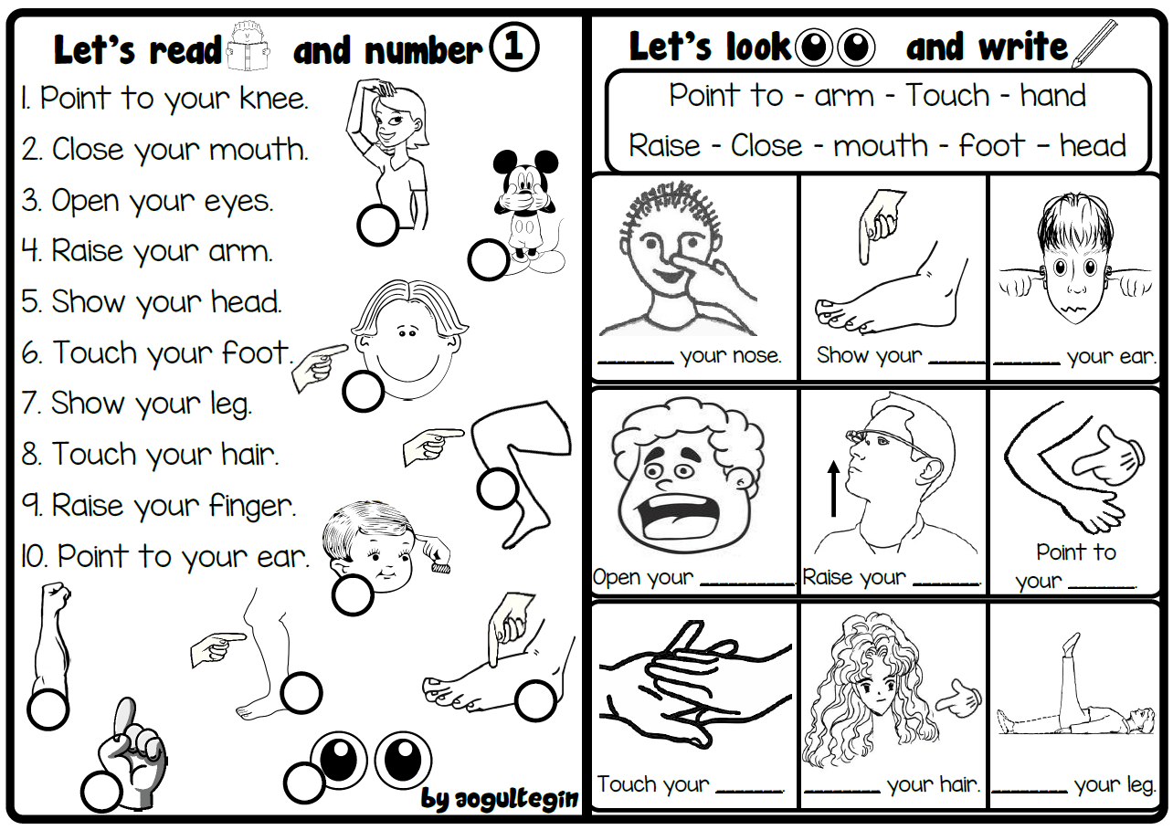 Let's Read and Number