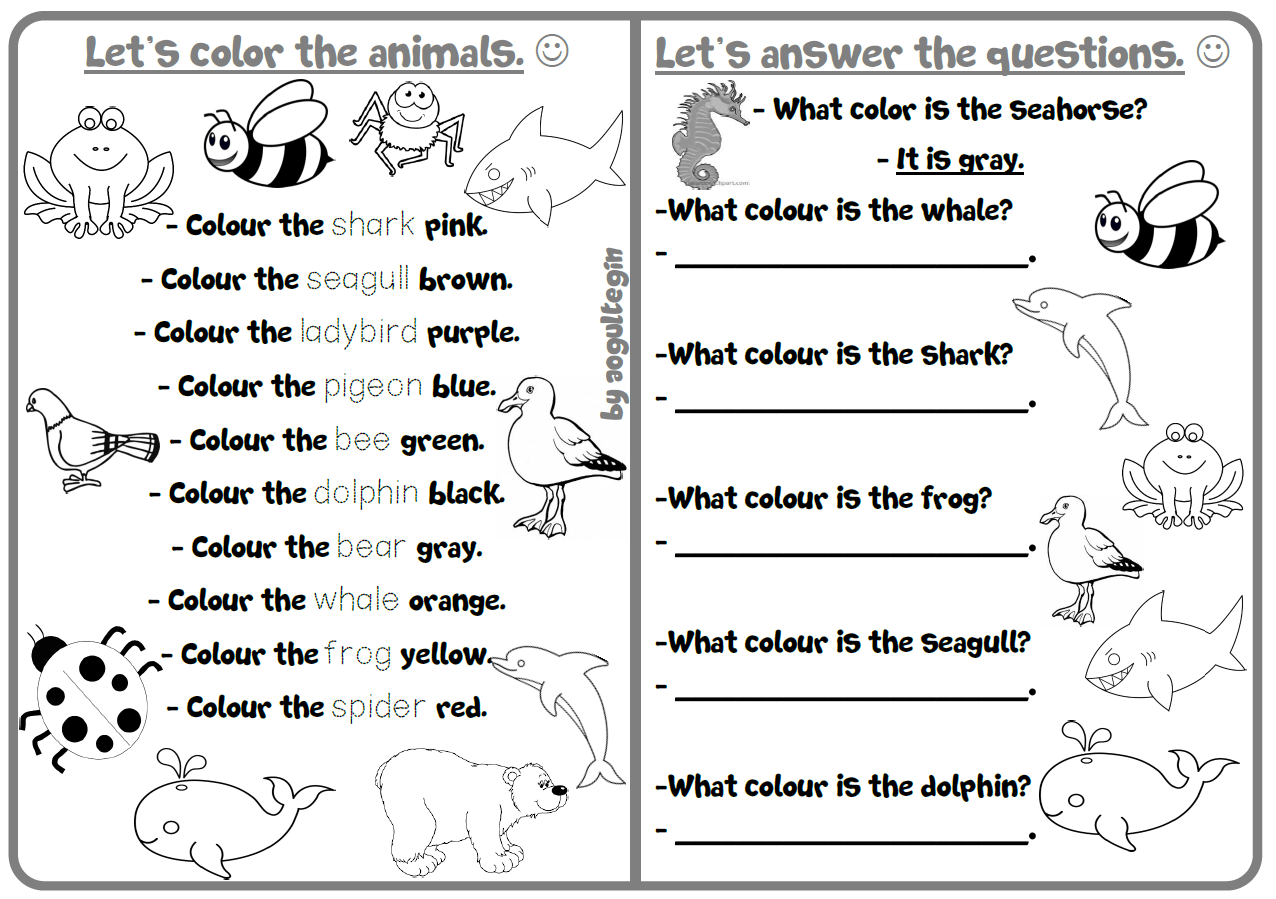 Let's Colour The Animals
