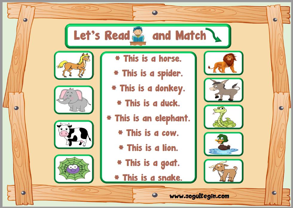 Let's Read and Match