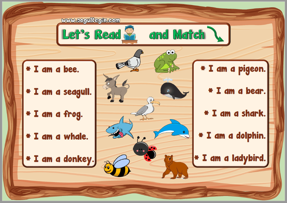 Let's Read and Match