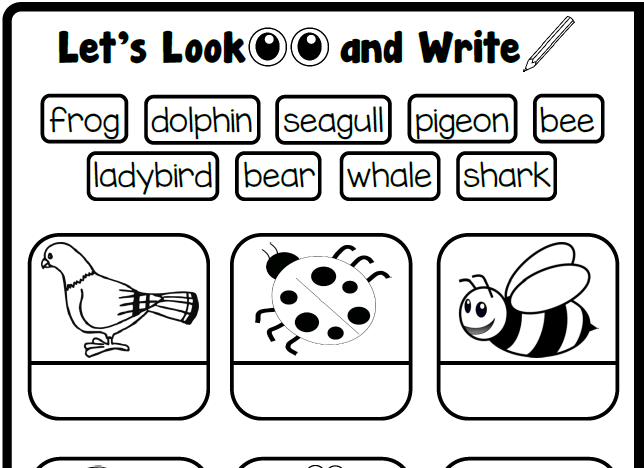 Let's Look and Write