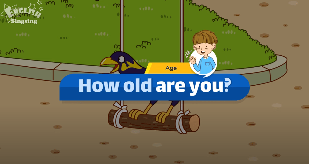 How Old Are You? (3)