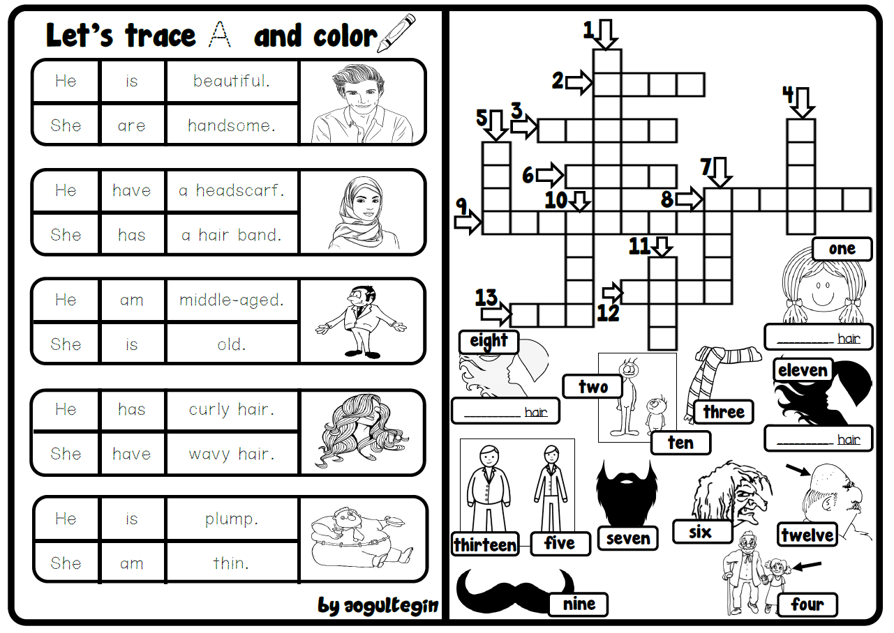 Let's Trace and Colour