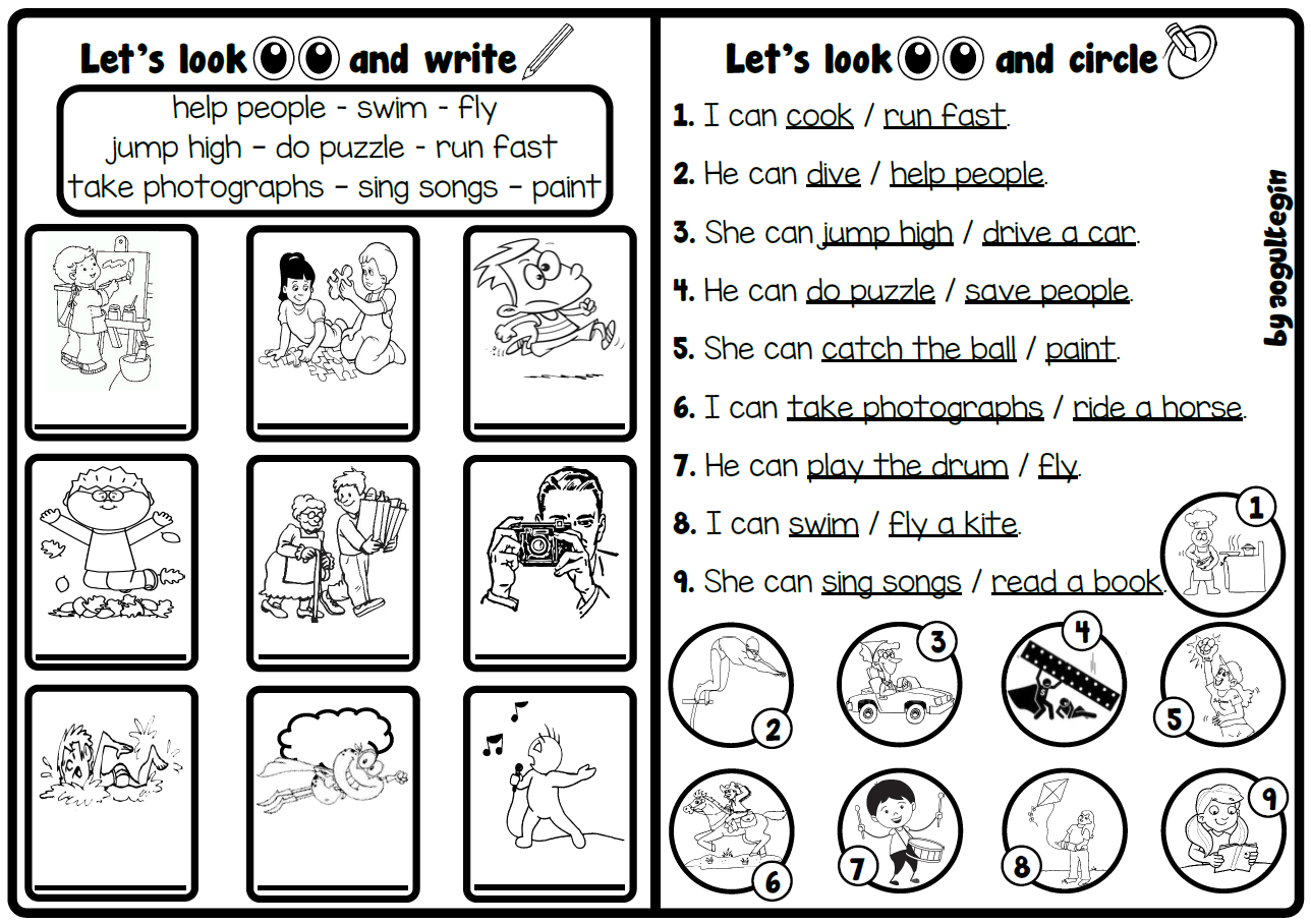 Let's Look and Circle