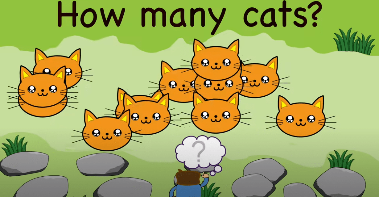 How Many Cats?
