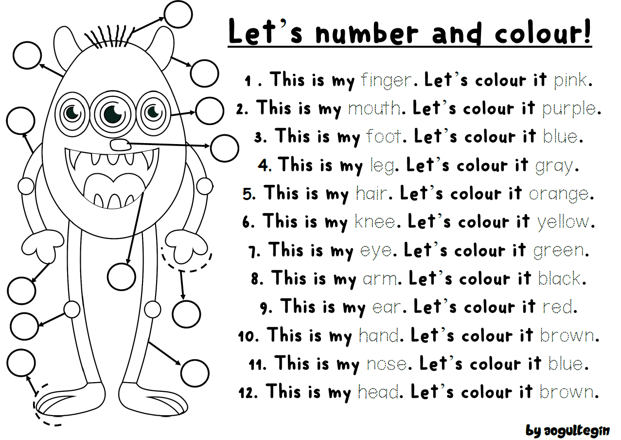 Let's Number and Colour
