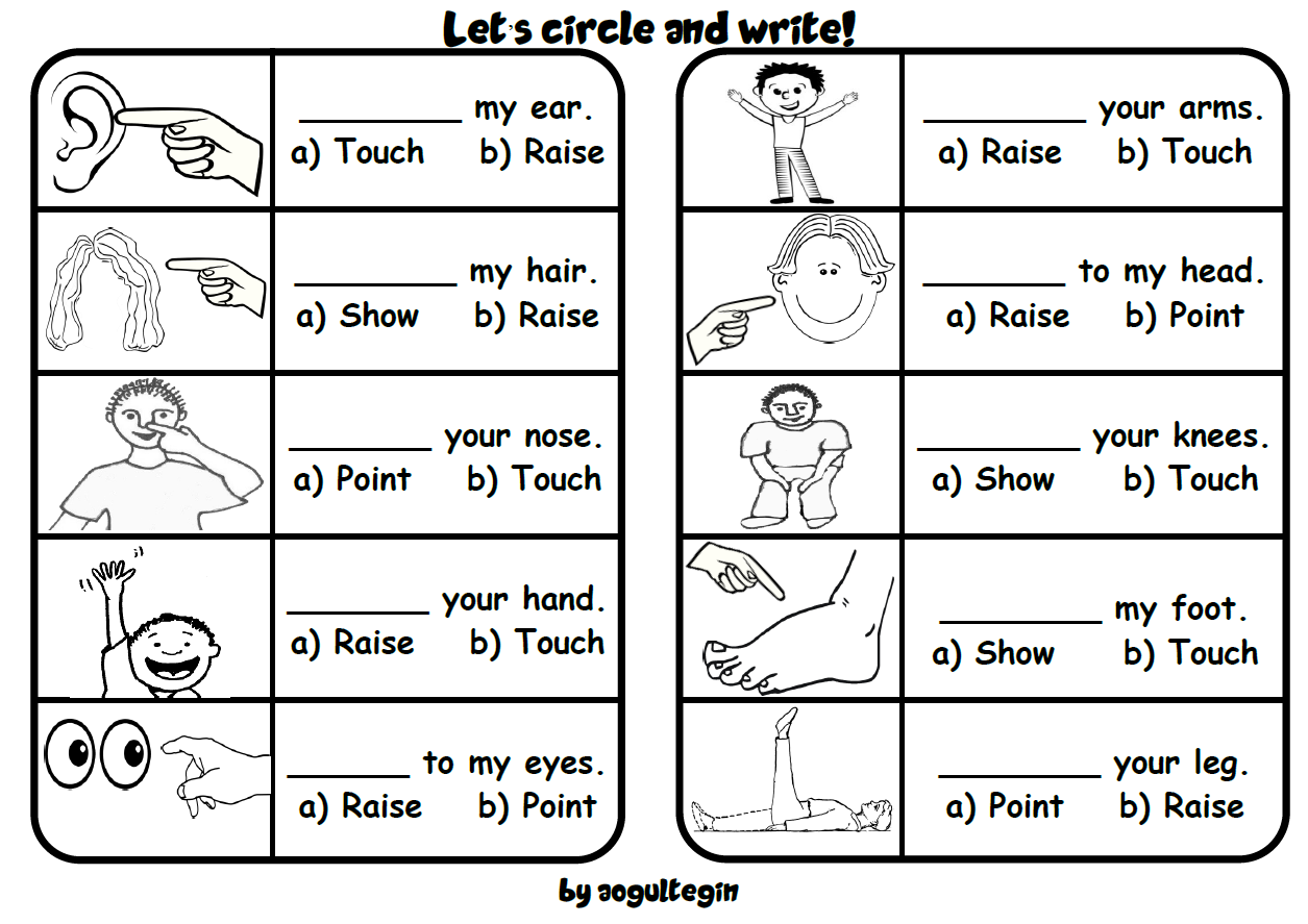 Let's Circle and Write