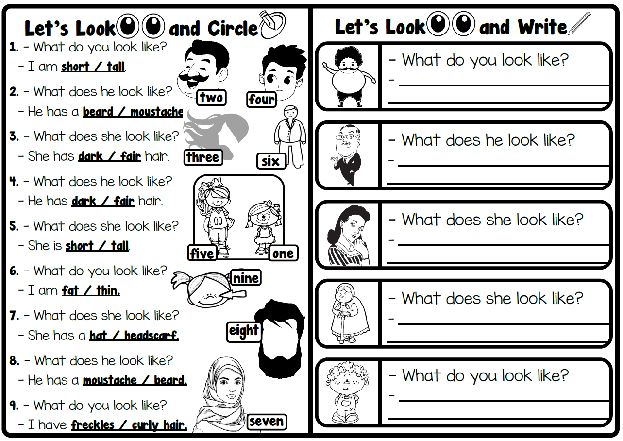 Let's Look and Circle